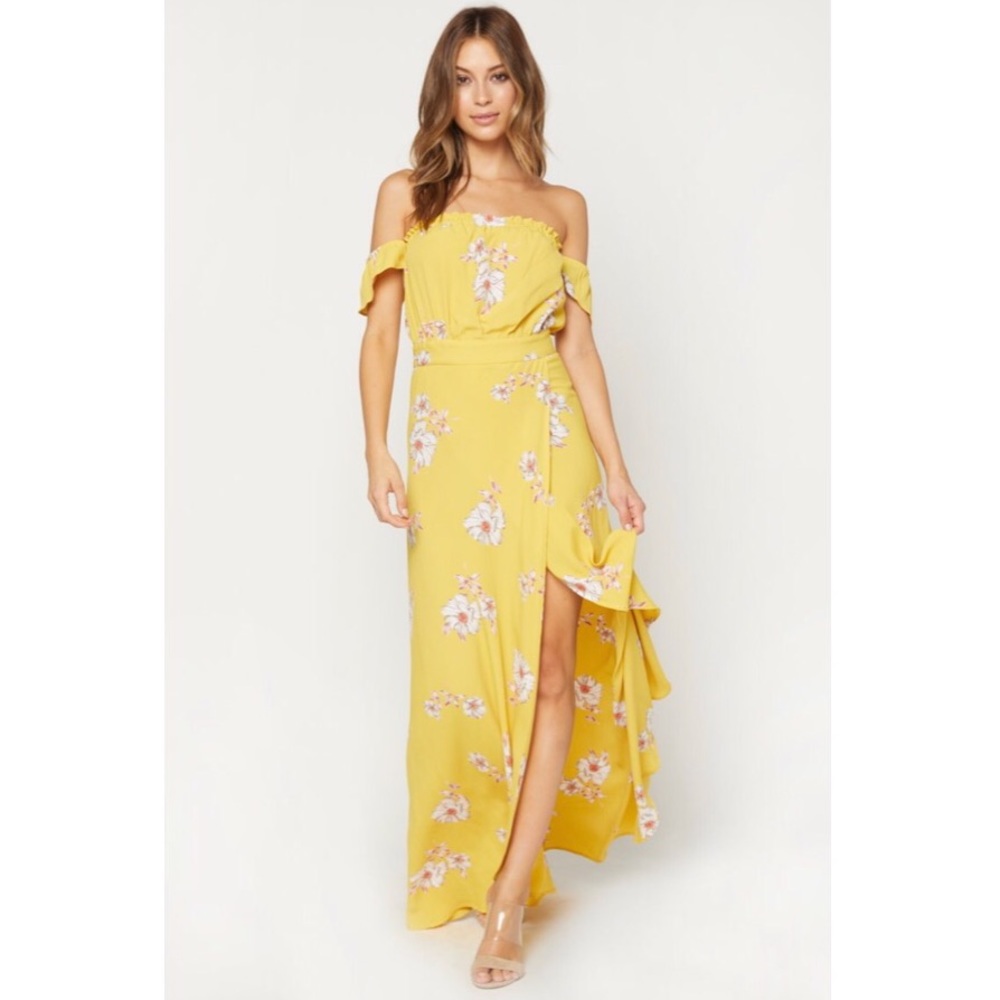 NWT Flynn Skye Bella Maxi Dress
